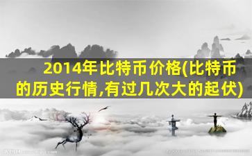 2014年比特币价格(比特币的历史行情,有过几次大的起伏)