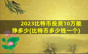 2023比特币投资10万能挣多少(比特币多少钱一个)