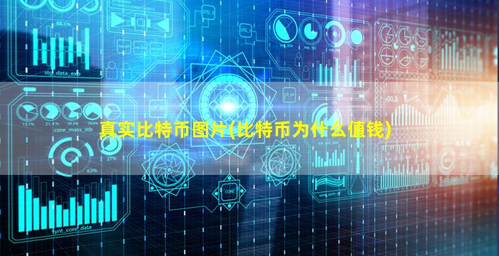 真实比特币图片(比特币为什么值钱)